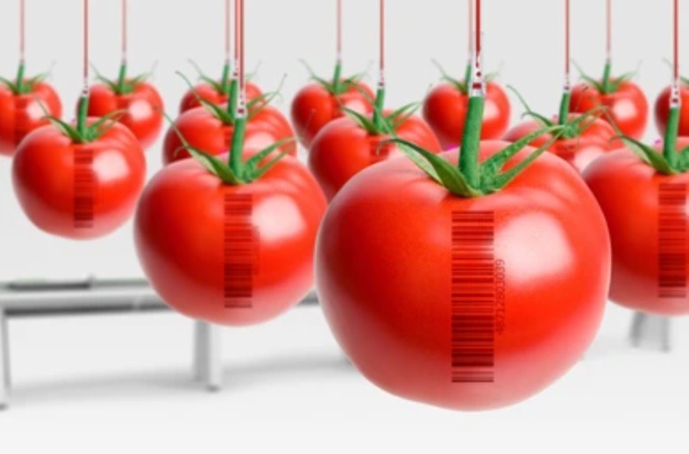 trazabilidad agricultura